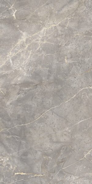 GT120603101MCR Плитка грес глаз. Sacramento_GT Серый 60×120 карвинг