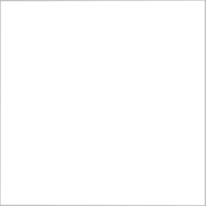 5009 Калейдоскоп белый матовый 20×20