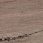 Дэвид Керамогранит коричневый 14,7х59,4 матовый
