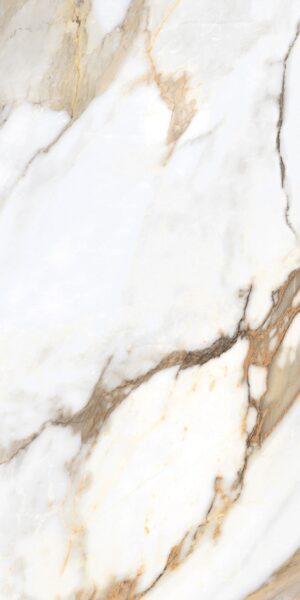GT120605403PR Керамогранит Borghini_GT Бел. 60×120 полир.