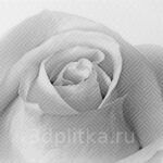 Камелия чер декор 01 250х400