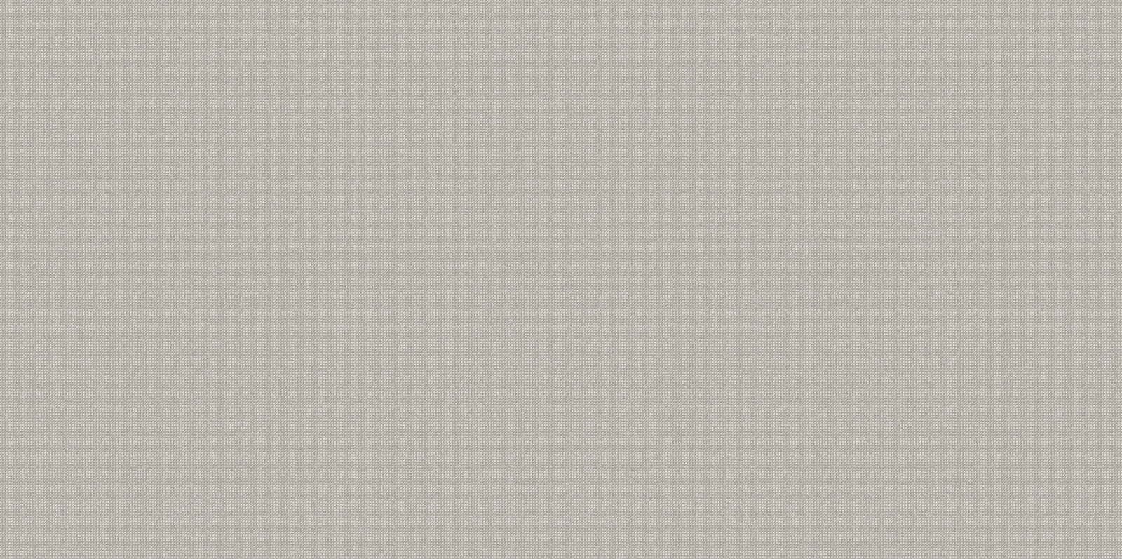 Мегаполис серый / Megapolis Gray WT9MEG15 Плитка настенная 249*500 (12 ш) Мегаполис серый / Megapolis Gray WT9MEG15 Плитка настенная 249*500 (12 ш) — изображение 1