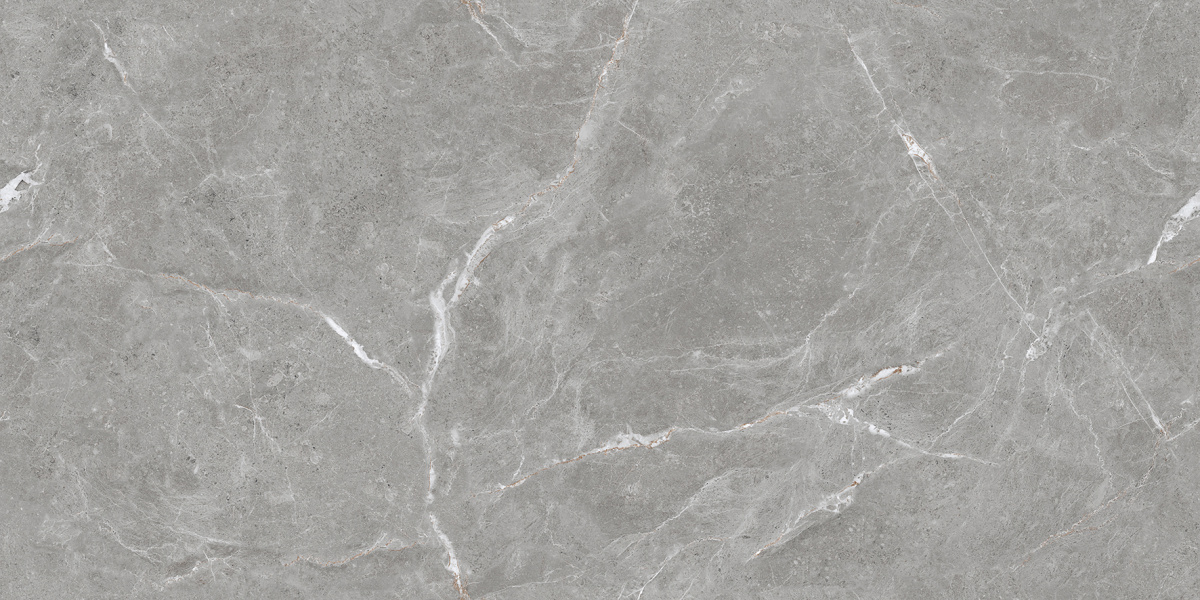 Stone Cool Grey Керамогранит серый 60х120 Полированный Stone Cool Grey Керамогранит серый 60х120 Полированный — изображение 1