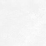 Antre White WT9ANR00 Плитка настенная 249x500(10 ш