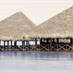 DWU09DLM004 Del Mare декор 249x500