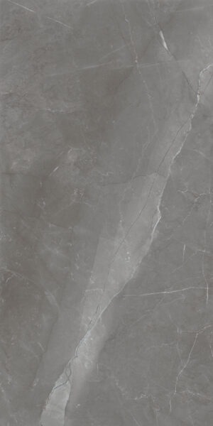 PGT 2199 . Inspiro NB_GT Сер. 60×120 Полир.