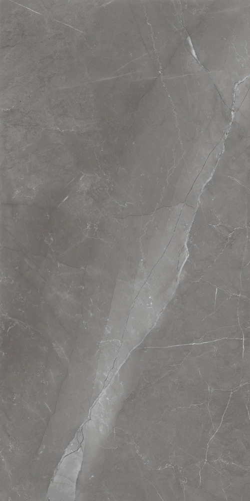 PGT 2199 . Inspiro NB_GT Сер. 60×120 Полир. PGT 2199 . Inspiro NB_GT Сер. 60x120 Полир. — изображение 1